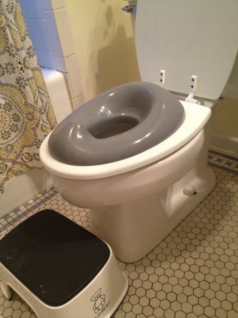 Flushing "Potty Training" Down the Toilet