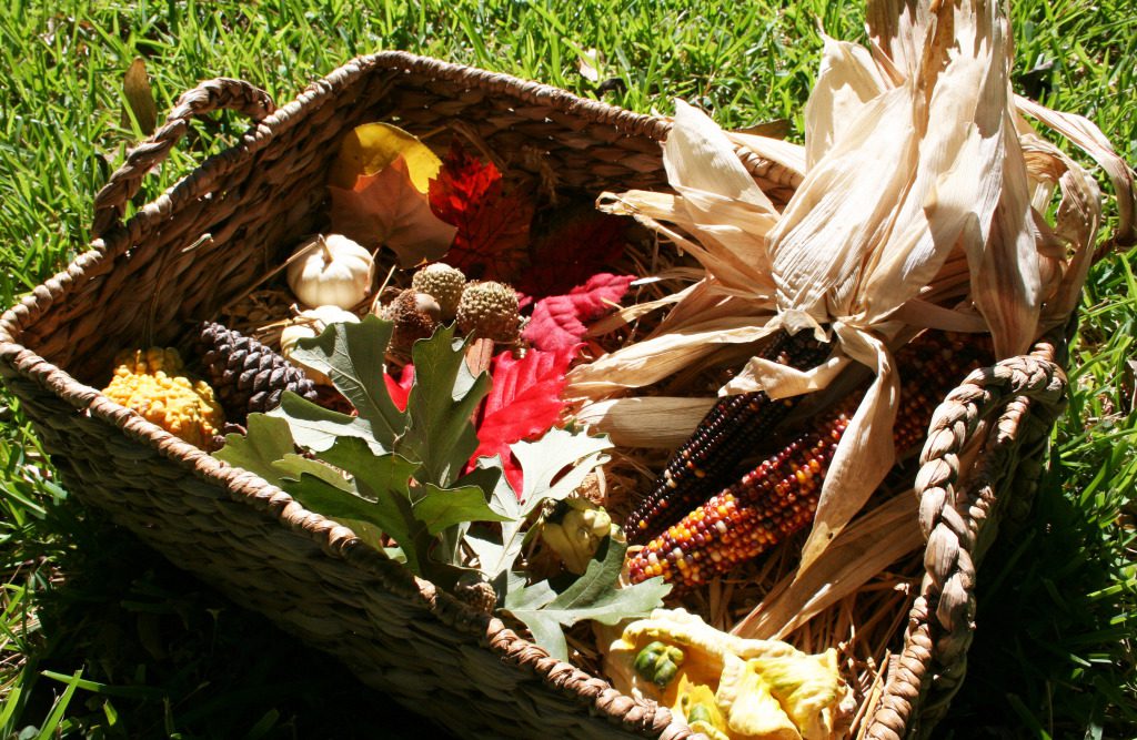 A fall sensory basket with Indian corn, cinnamon sticks, oak tree acorns, white mini-pumpkins and pine cones and colorful leaves.