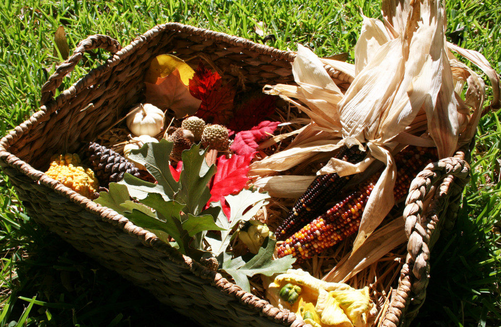 Fall Sensory Bin and Gluten-Free Pumpkin Play Clay Recipe