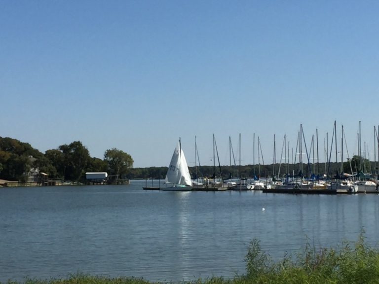 boats on a lake