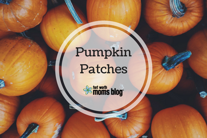pumpkins, fall