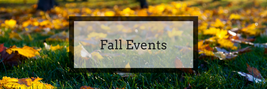2017 Guide to Fall Activities: Pumpkin Patches, Farms, and Festivals in Fort Worth and Tarrant County, Texas.