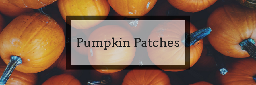 2017 Guide to Fall Activities: Pumpkin Patches, Farms, and Festivals in Fort Worth and Tarrant County, Texas.