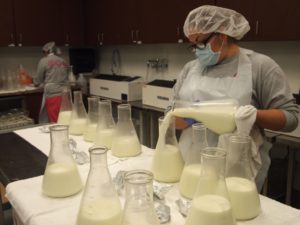 Mothers milk bank milk processing