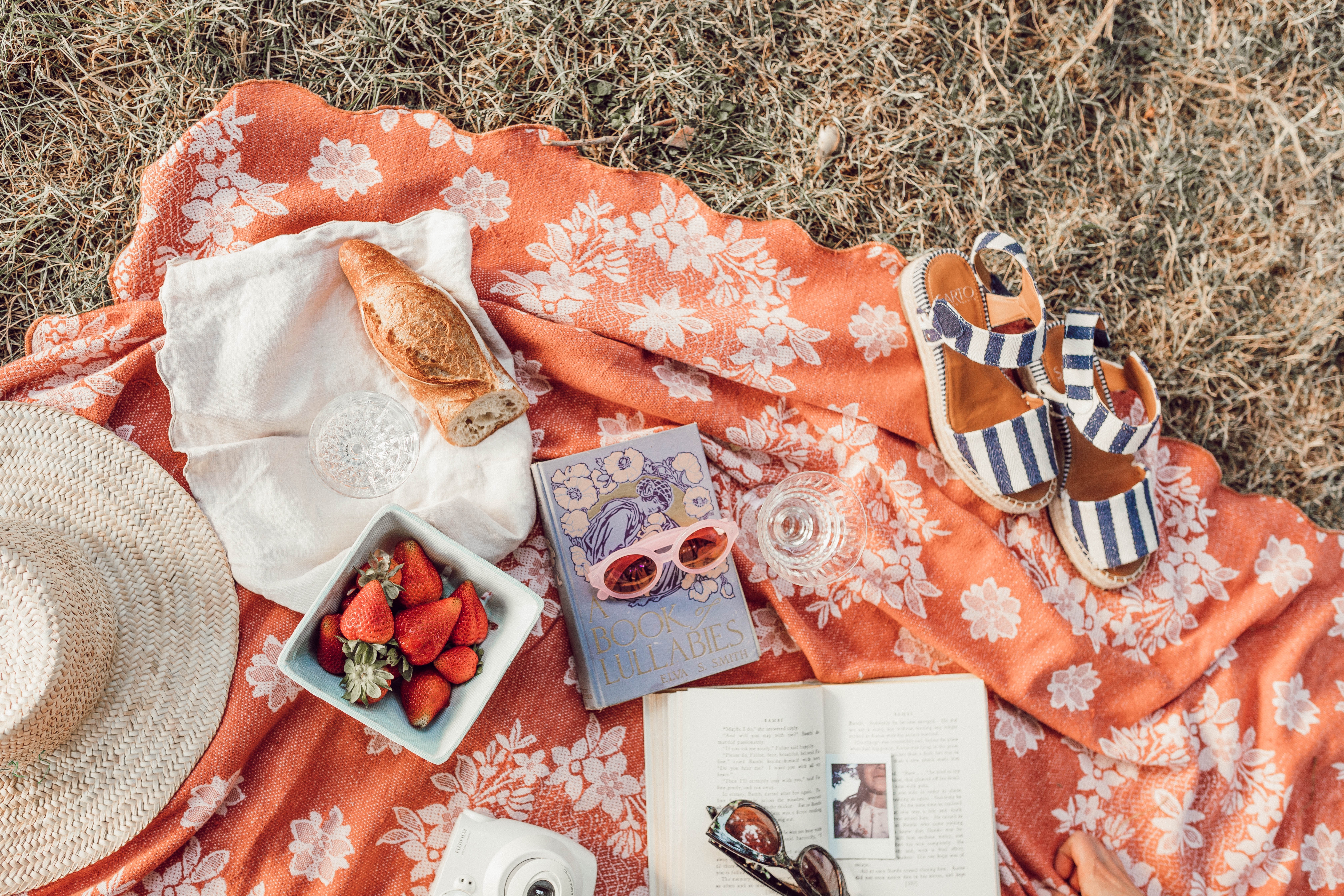 picnic blanket food books