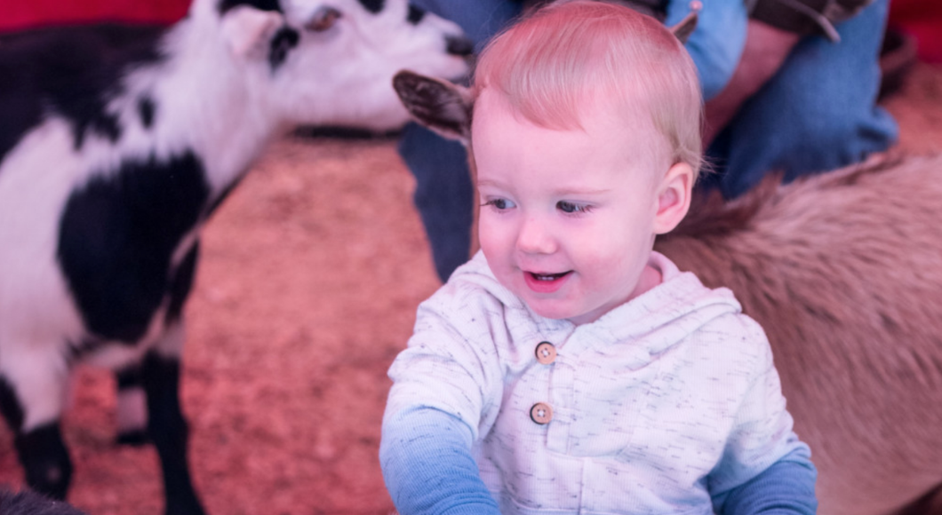 Kids will enjoy the petting zoo at the Fort Worth Stock Show and Rodeo.