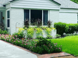 Tips for maintaining your yard and lawn all year long