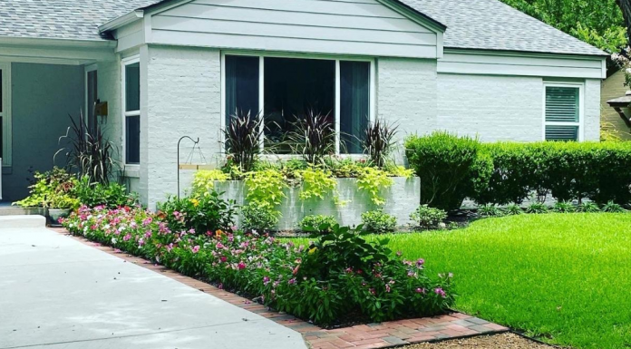 Tips for maintaining your yard and lawn all year long