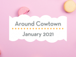 Family friendly events in the Fort Worth area in January 2021