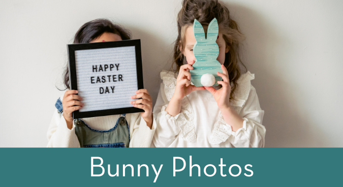 Bunny Photos