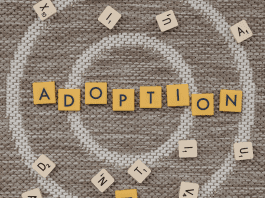 Adoption myths hurt adopted children and their families -- birth and adopted