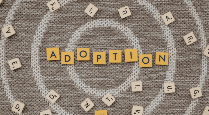 Adoption myths hurt adopted children and their families -- birth and adopted