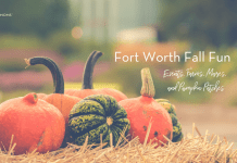 Family friendly fall event in Tarrant County