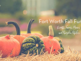 Family friendly fall event in Tarrant County
