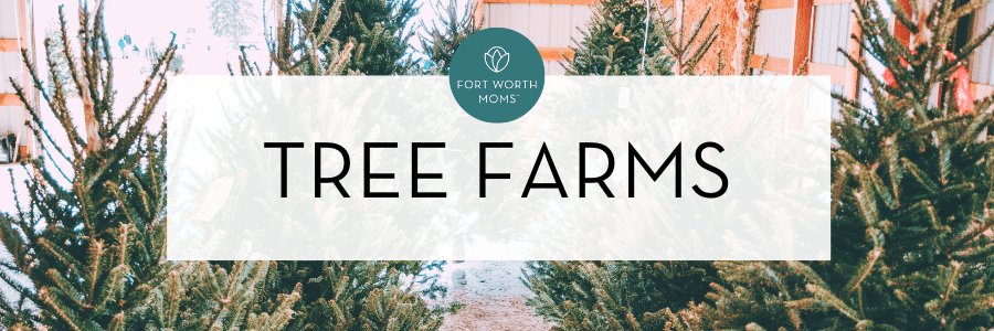 Christmas tree farms near Fort Worth and Arlington header graphic