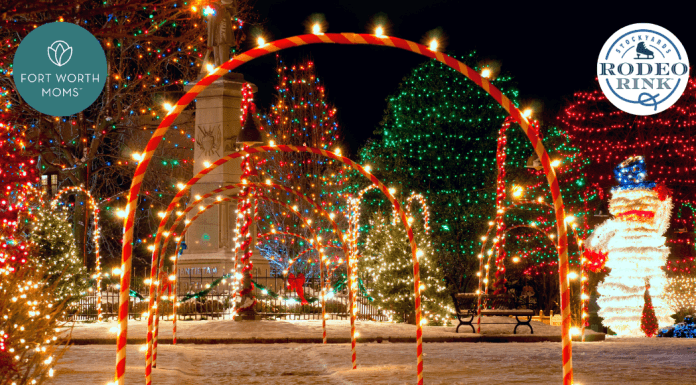 outdoor city park scene with festive holiday lights