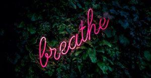 neon sign "breathe" nestled in dark green bush