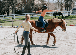 A girl takes a lesson on a horse.