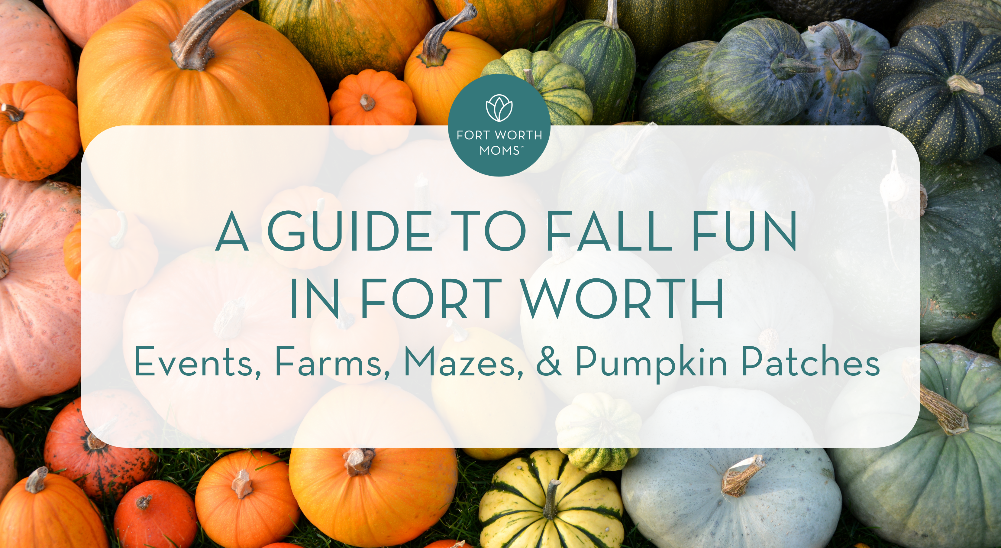 A Guide to Fall Fun in Fort Worth :: Events, Farms, Mazes, and Pumpkin Patches