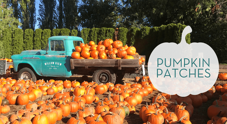 A Guide to Fall Fun in Fort Worth :: Pumpkin Patches