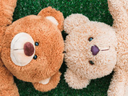 Two brown teddy bears on grass