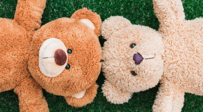 Two brown teddy bears on grass